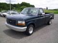 Dark Tourmaline Metallic 1993 Ford F150 XL Regular Cab