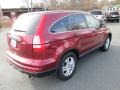 2010 Tango Red Pearl Honda CR-V EX-L AWD  photo #6