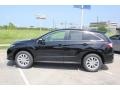 Crystal Black Pearl - RDX Technology Photo No. 4