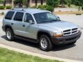 Bright Silver Metallic - Durango SXT 4x4 Photo No. 7