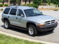 2003 Bright Silver Metallic Dodge Durango SXT 4x4  photo #7