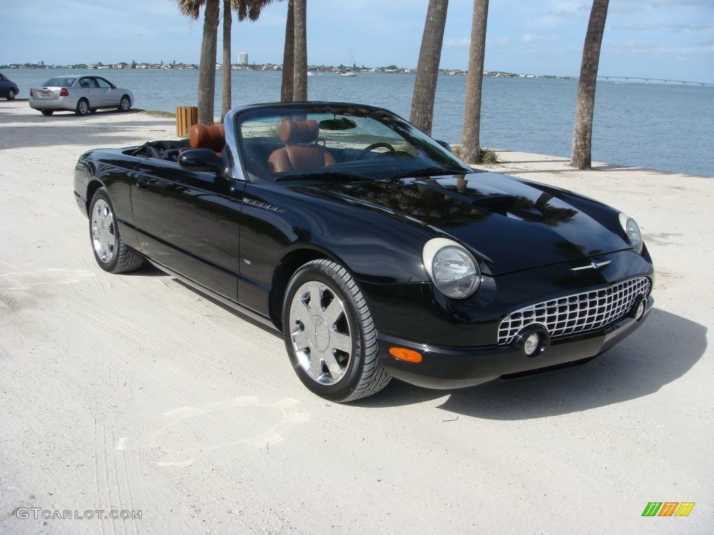 2003 Thunderbird Premium Roadster - Evening Black / Black Ink/Saddle photo #1