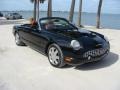 Evening Black 2003 Ford Thunderbird Premium Roadster Exterior