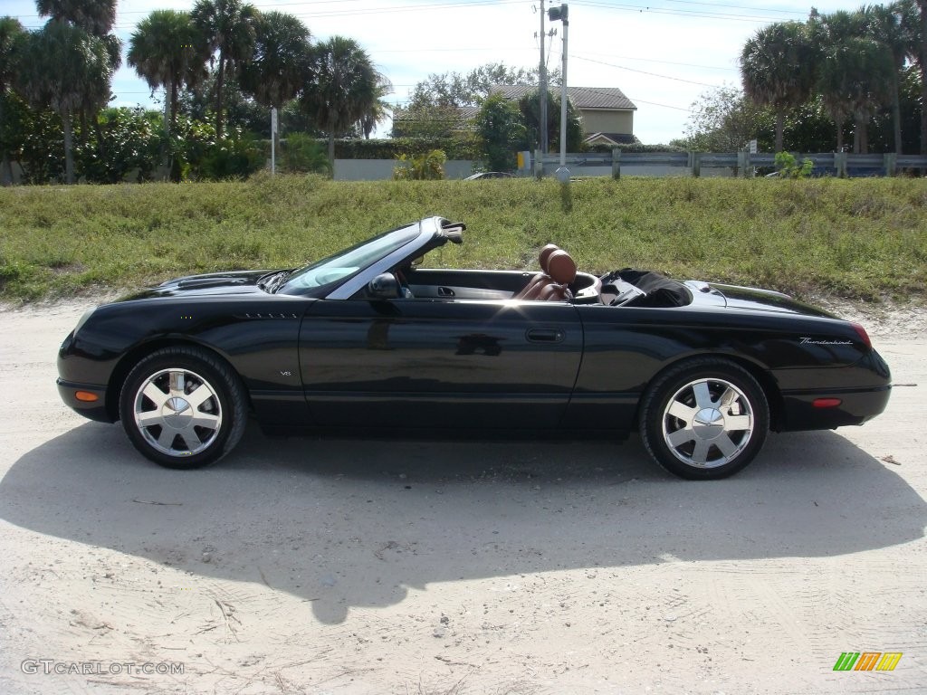 2003 Thunderbird Premium Roadster - Evening Black / Black Ink/Saddle photo #4