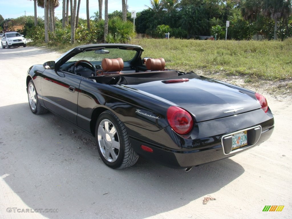 2003 Thunderbird Premium Roadster - Evening Black / Black Ink/Saddle photo #5