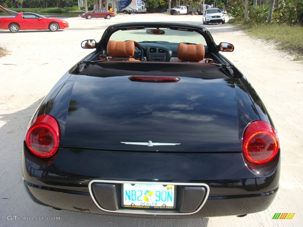 2003 Thunderbird Premium Roadster - Evening Black / Black Ink/Saddle photo #6