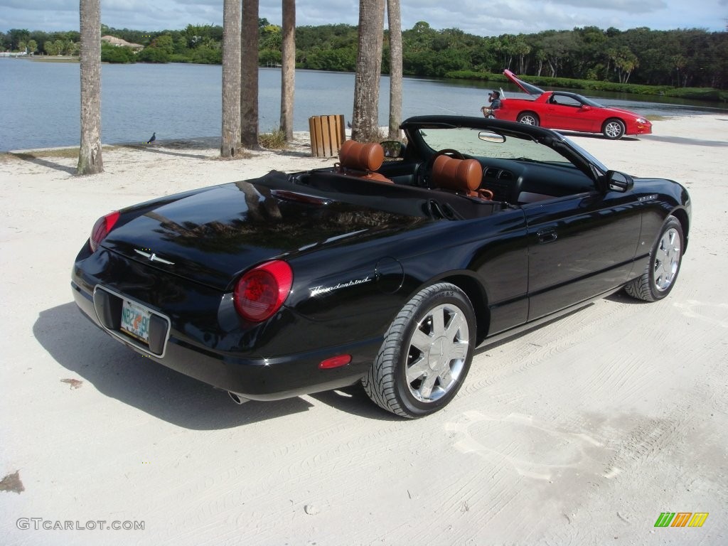 2003 Thunderbird Premium Roadster - Evening Black / Black Ink/Saddle photo #7