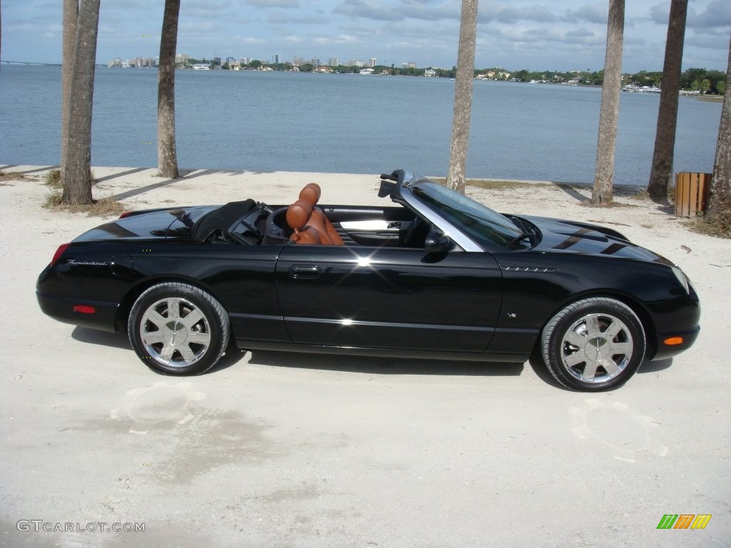 2003 Thunderbird Premium Roadster - Evening Black / Black Ink/Saddle photo #8