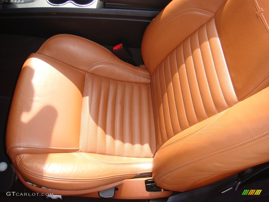 2003 Thunderbird Premium Roadster - Evening Black / Black Ink/Saddle photo #11