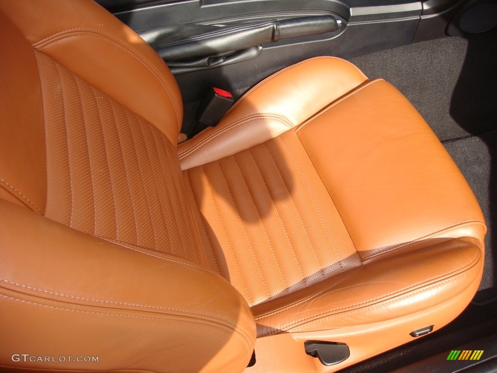 2003 Thunderbird Premium Roadster - Evening Black / Black Ink/Saddle photo #16