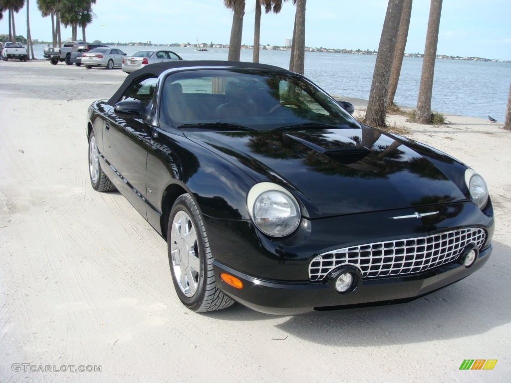 2003 Thunderbird Premium Roadster - Evening Black / Black Ink/Saddle photo #20