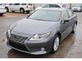 Nebula Gray Pearl - ES 350 Photo No. 1