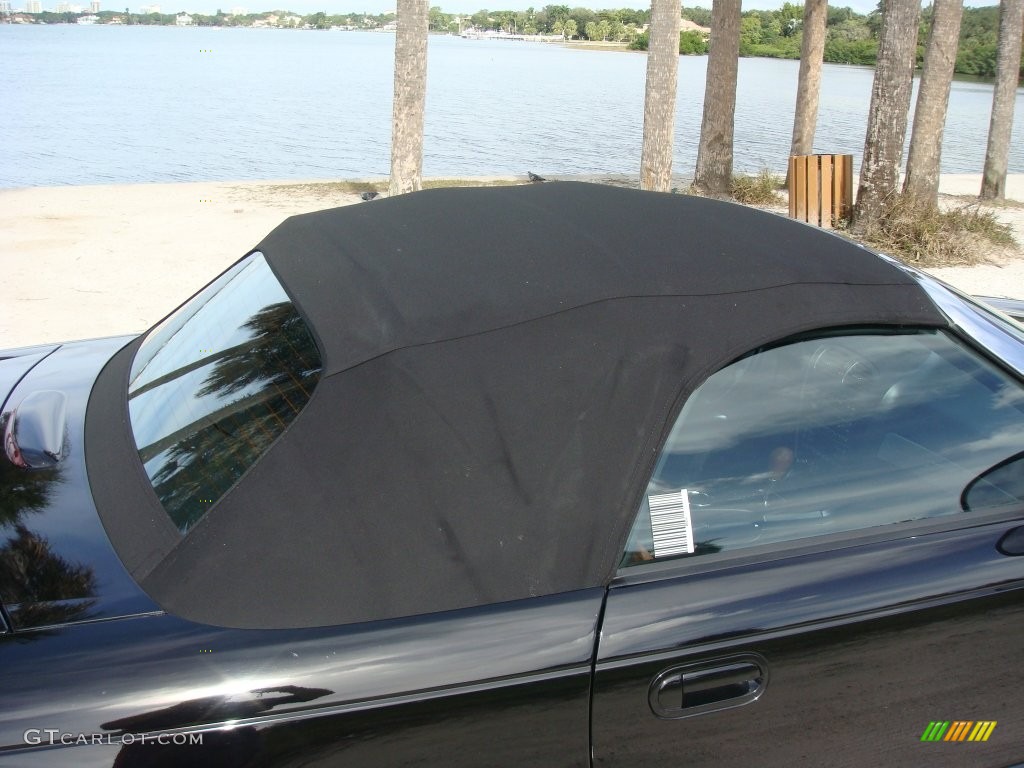 2003 Thunderbird Premium Roadster - Evening Black / Black Ink/Saddle photo #22