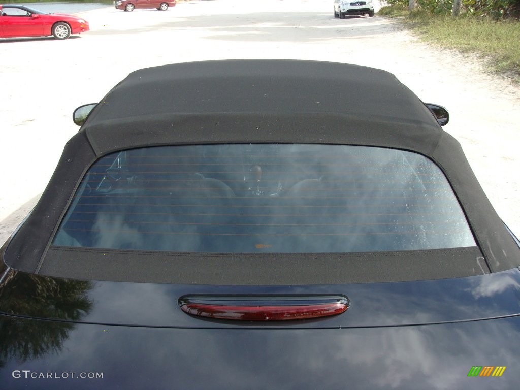 2003 Thunderbird Premium Roadster - Evening Black / Black Ink/Saddle photo #23