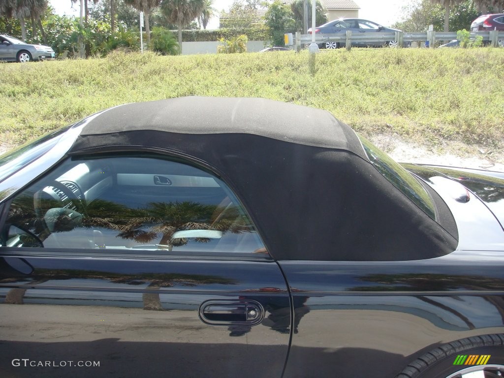 2003 Thunderbird Premium Roadster - Evening Black / Black Ink/Saddle photo #25