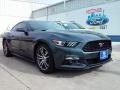 Guard Metallic - Mustang EcoBoost Coupe Photo No. 1