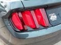 Guard Metallic - Mustang EcoBoost Coupe Photo No. 10