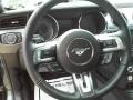 Guard Metallic - Mustang EcoBoost Coupe Photo No. 24