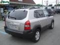 Sahara Silver - Tucson GLS V6 4x4 Photo No. 2