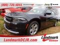 Maximum Steel Metallic 2016 Dodge Charger SE