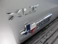 Ingot Silver Metallic - Expedition XLT Photo No. 8