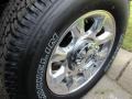 Blue Jeans Metallic - F350 Super Duty Lariat Crew Cab 4x4 Photo No. 5