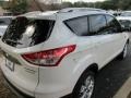 White Platinum Metallic - Escape Titanium Photo No. 7