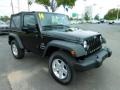 Black - Wrangler Sport 4x4 Photo No. 10