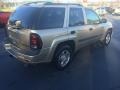 2004 Sandstone Metallic Chevrolet TrailBlazer LS 4x4  photo #3