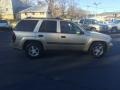 2004 Sandstone Metallic Chevrolet TrailBlazer LS 4x4  photo #5