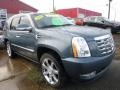 Stealth Gray - Escalade AWD Photo No. 14