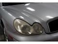 Brilliant Silver Metallic - Sonata GLS V6 Photo No. 42
