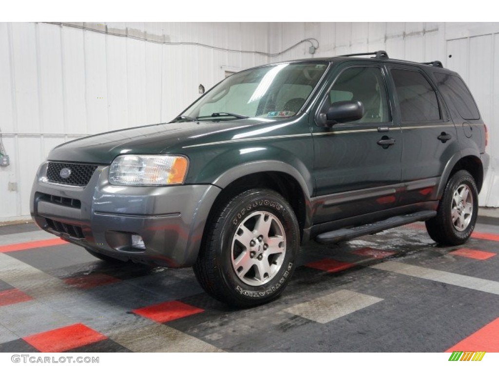 Aspen Green Metallic 2004 Ford Escape XLT V6 4WD Exterior Photo #109632246