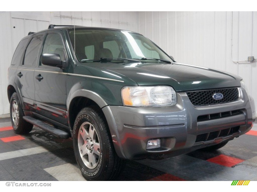 2004 Escape XLT V6 4WD - Aspen Green Metallic / Medium/Dark Flint photo #5