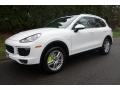 Front 3/4 View of 2015 Cayenne S E-Hybrid
