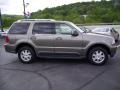 Mineral Grey Metallic - Aviator Luxury AWD Photo No. 6