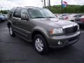 Mineral Grey Metallic - Aviator Luxury AWD Photo No. 7