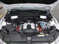 Ibis White - Q5 3.0 TFSI Premium Plus quattro Photo No. 37