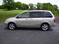 Shimmering Sand Metallic - MPV ES Photo No. 2
