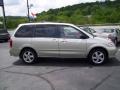 Shimmering Sand Metallic - MPV ES Photo No. 6