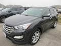 Platinum Graphite - Santa Fe Sport 2.0T Photo No. 2