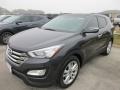 2016 Platinum Graphite Hyundai Santa Fe Sport 2.0T  photo #2