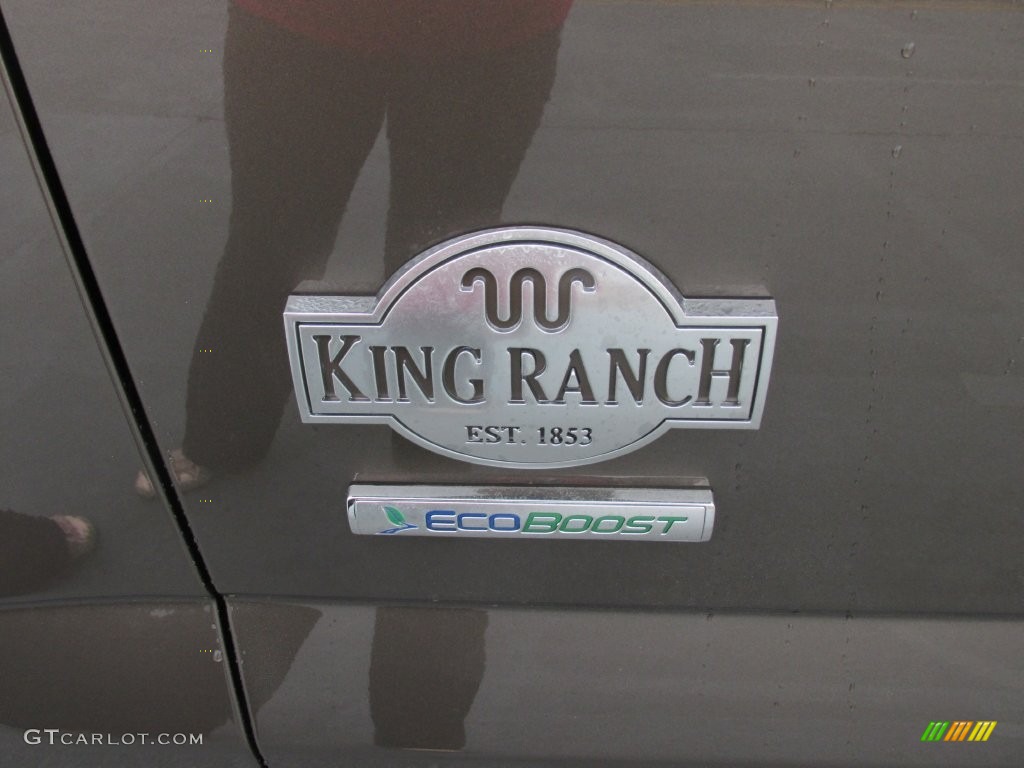 2016 F150 King Ranch SuperCrew 4x4 - Caribou / King Ranch Java photo #14
