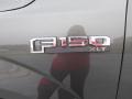 Magnetic - F150 XLT SuperCrew Photo No. 14