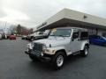 Bright Silver Metallic - Wrangler Unlimited 4x4 Photo No. 7