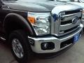 2016 Caribou Metallic Ford F250 Super Duty XLT Crew Cab 4x4  photo #2