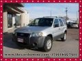 Silver Metallic 2006 Ford Escape XLT V6