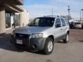 2006 Silver Metallic Ford Escape XLT V6  photo #20