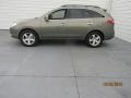 2008 Natural Khaki Metallic Hyundai Veracruz Limited  photo #3