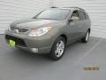 2008 Natural Khaki Metallic Hyundai Veracruz Limited  photo #4